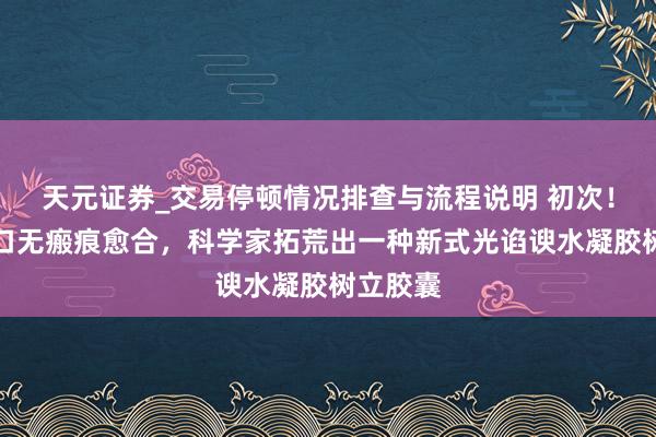 天元证券_交易停顿情况排查与流程说明 初次！已毕伤口无瘢痕愈合，科学家拓荒出一种新式光谄谀水凝胶树立胶囊