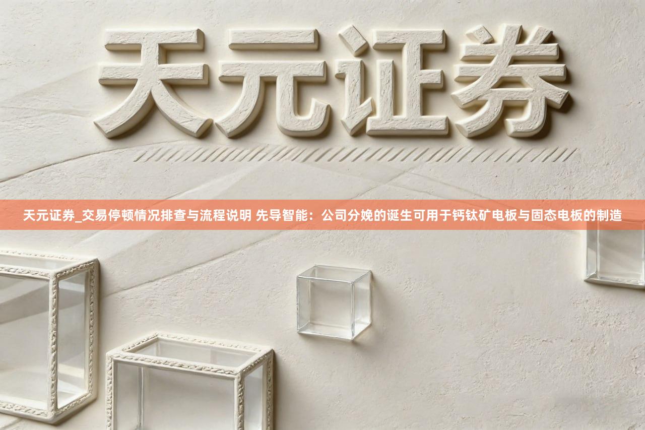 天元证券_交易停顿情况排查与流程说明 先导智能：公司分娩的诞生可用于钙钛矿电板与固态电板的制造